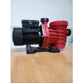 Bơm hồ bơi 1100w