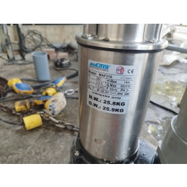 Máy bơm chìm Pentax - 2HP